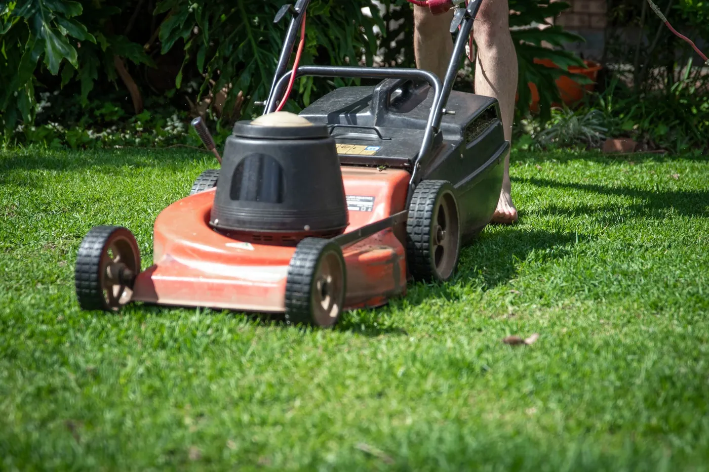 Péče o trávník od jara do podzimu: sekání, hnojení, vertikutace
