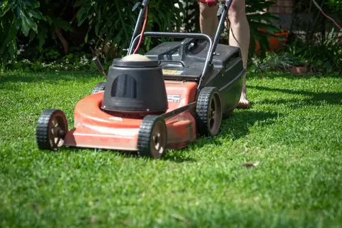 Péče o trávník od jara do podzimu: sekání, hnojení, vertikutace